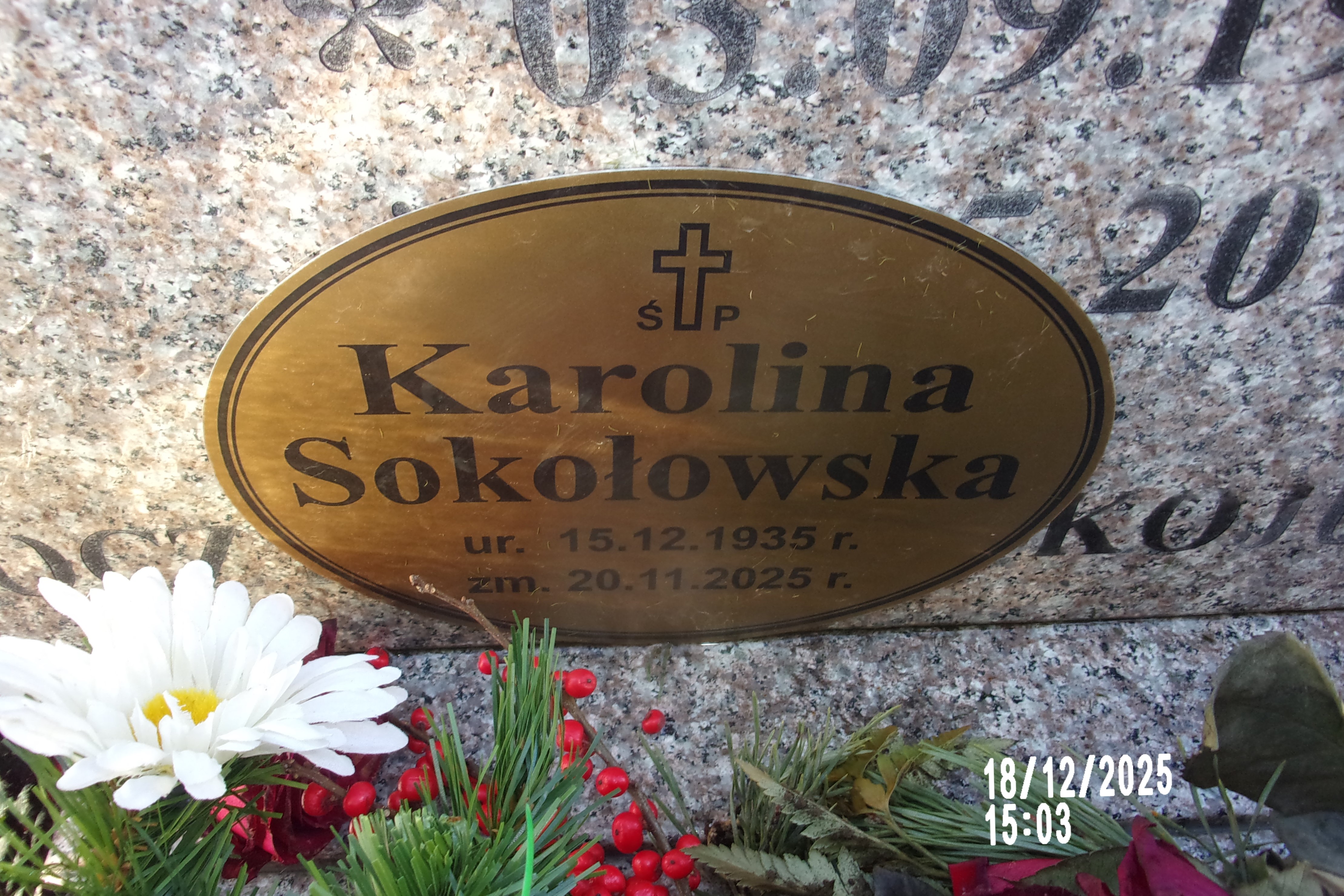 Grób Stanisława Magda