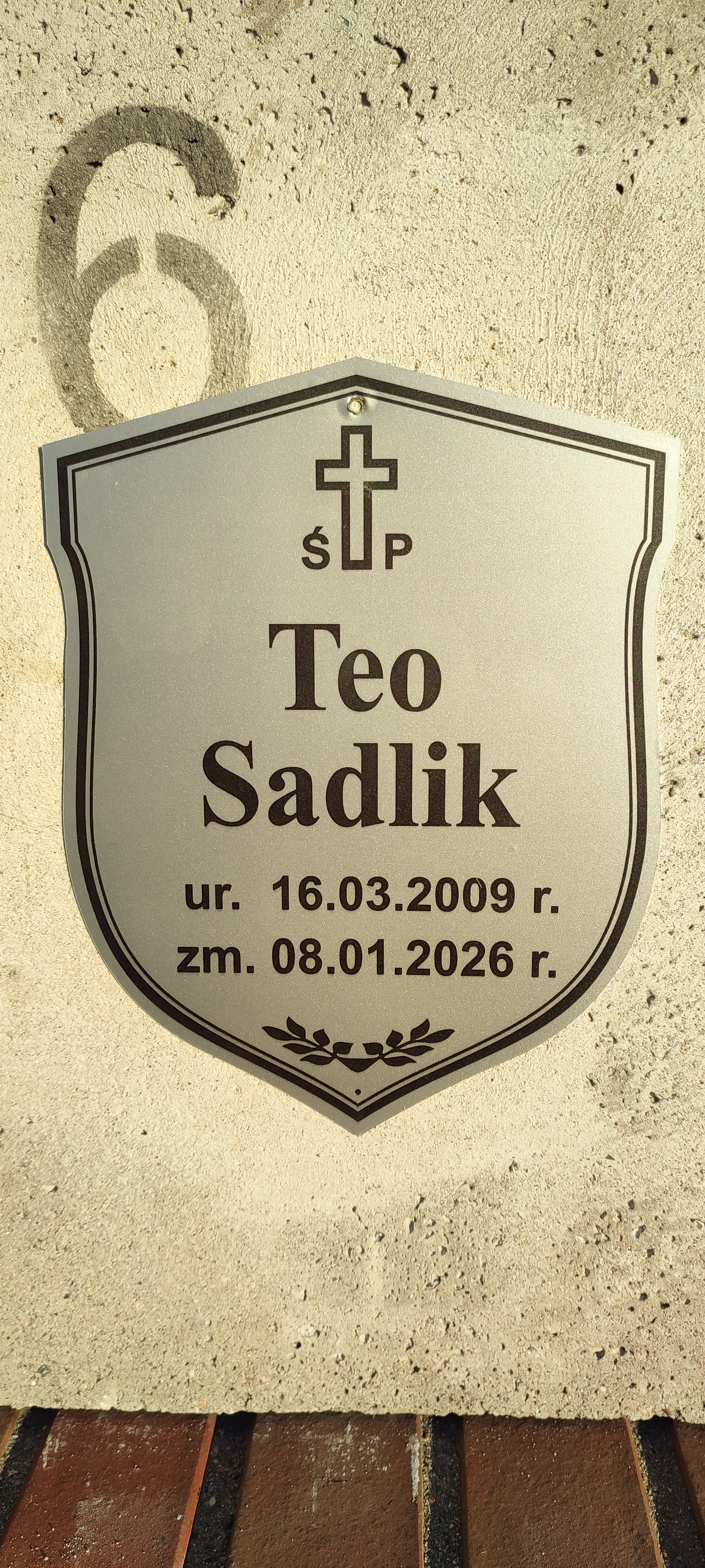 Teo Sadlik 2009 Legnica - Grobonet - Wyszukiwarka osób pochowanych